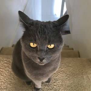 Meet your Posher, Ian